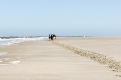 wcb_PferdeReiterinnen_06