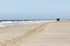 wcb_PferdeReiterinnen_07