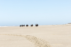 wcb_PferdeReiterinnen_09