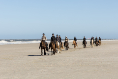 wcb_PferdeReiterinnen_12