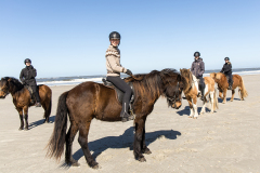 wcb_PferdeReiterinnen_14