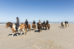 wcb_PferdeReiterinnen_15