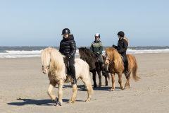 wcb_PferdeReiterinnen_16