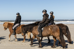 wcb_PferdeReiterinnen_17