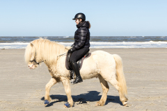 wcb_PferdeReiterinnen_18