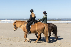 wcb_PferdeReiterinnen_19