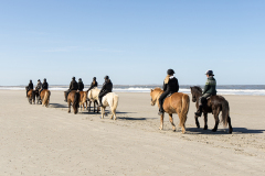 wcb_PferdeReiterinnen_20