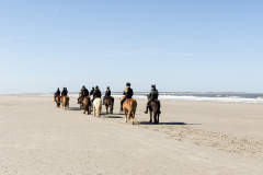 wcb_PferdeReiterinnen_21