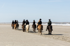 wcb_PferdeReiterinnen_22