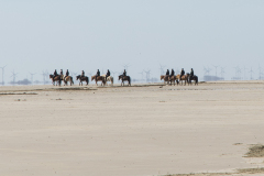 wcb_PferdeReiterinnen_23