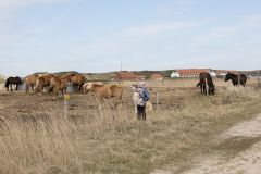 wcb_PferdeReiterinnen_25