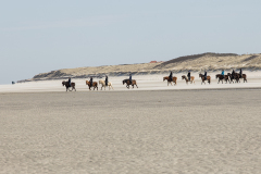 wcb_PferdeReiterinnen_29