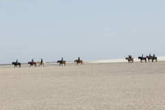 wcb_PferdeReiterinnen_30