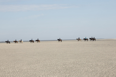 wcb_PferdeReiterinnen_31