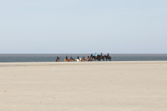 wcb_PferdeReiterinnen_32