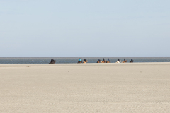 wcb_PferdeReiterinnen_33