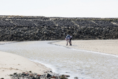 wcb_PferdeReiterinnen_34