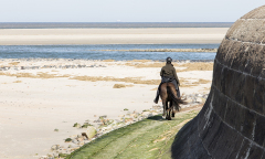 wcb_PferdeReiterinnen_35