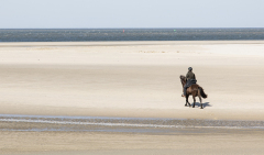 wcb_PferdeReiterinnen_36