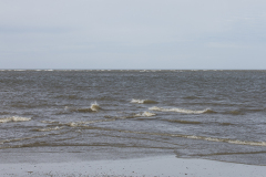 wcb_PferdeReiterinnen_37