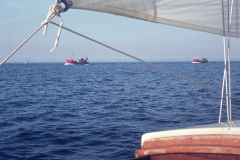 wcb_galathea_15