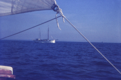 wcb_galathea_16