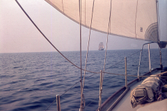 wcb_galathea_17