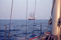 wcb_galathea_18