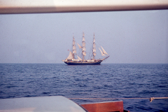 wcb_galathea_20