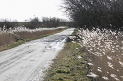 069_Suedkap