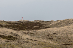 121_Seeraeuber