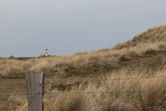 124_Seeraeuber