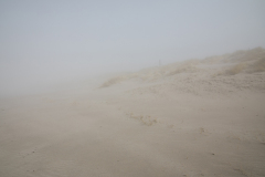 144_Seeraeuber