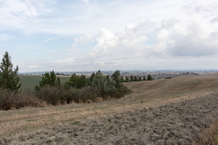 Toskana_59
